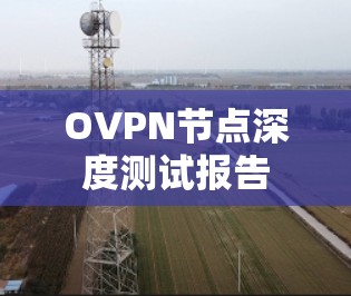 OVPN节点深度测试报告