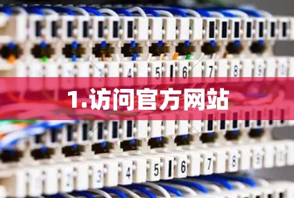 1.访问官方网站