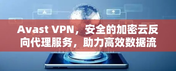 Avast VPN，安全的加密云反向代理服务，助力高效数据流