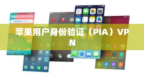 苹果用户身份验证（PIA）VPN