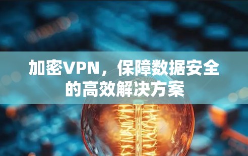 加密VPN，保障数据安全的高效解决方案