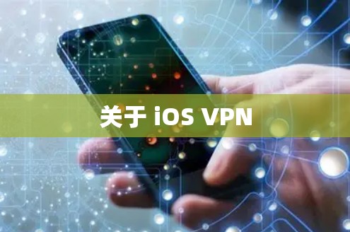 关于 iOS VPN