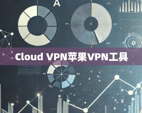 Cloud VPN苹果VPN工具
