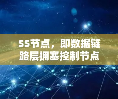 SS节点，即数据链路层拥塞控制节点，是OSI模型中的数据链路层节点，主要负责数据传输和流量管理。以下是关于SS节点的详细解析