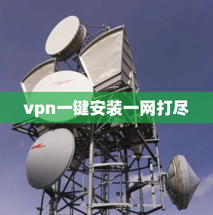 vpn一键安装一网打尽