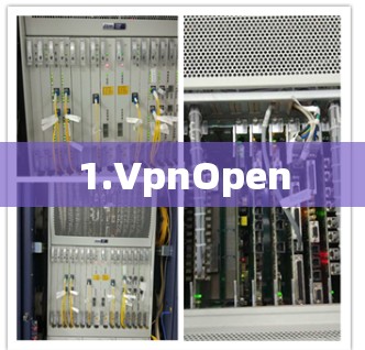 1.VpnOpen
