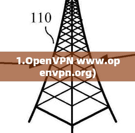 1.OpenVPN www.openvpn.org)