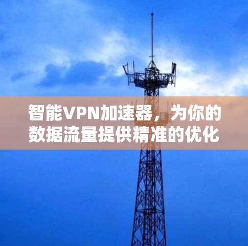 智能VPN加速器，为你的数据流量提供精准的优化方案