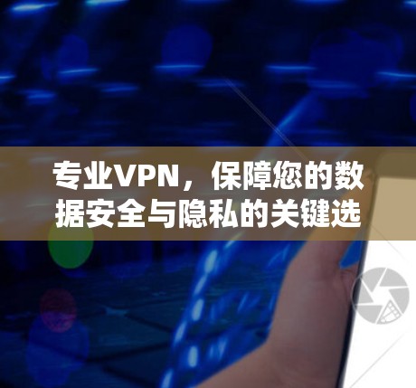 专业VPN，保障您的数据安全与隐私的关键选择