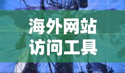 海外网站访问工具是一个广泛的话题，涵盖了爬取、脚本生成、实时抓取以及获取网站信息等不同方面。以下是一些常见的工具和方法，供你参考