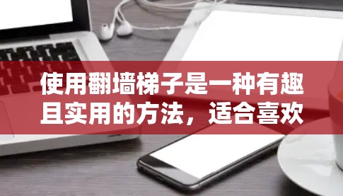 使用翻墙梯子是一种有趣且实用的方法，适合喜欢爬楼的人。以下是一些步骤和注意事项，帮助你顺利使用翻墙梯子