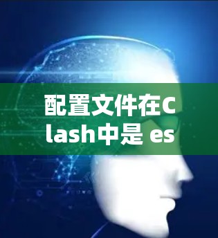 配置文件在Clash中是 essential 的工具，用于定义项目的基本信息和运行参数。以下是详细的步骤说明
