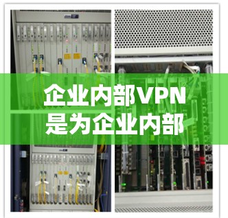 企业内部VPN是为企业内部提供安全通信和数据传输的网络服务，确保企业内部信息的安全性和合规性。以下是对企业内部VPN的详细分析