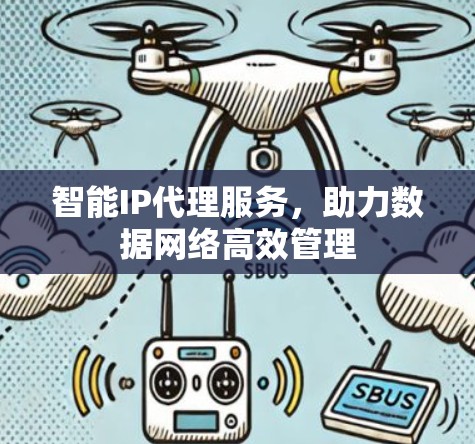 智能IP代理服务，助力数据网络高效管理