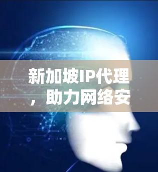 新加坡IP代理，助力网络安全与高效通信