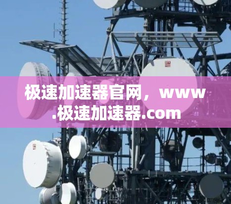 极速加速器官网，www.极速加速器.com