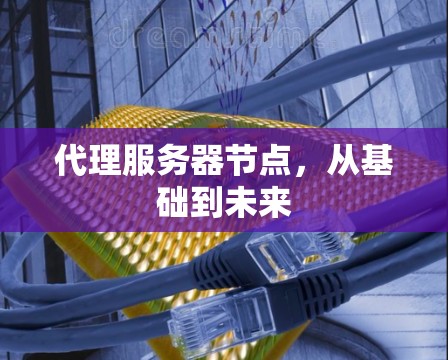 代理服务器节点，从基础到未来