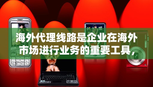 海外代理线路是企业在海外市场进行业务的重要工具，可以帮助企业获取高端产品和服务，提升竞争力。以下是一些常见的海外代理线路，供您参考