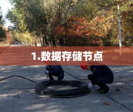 1.数据存储节点