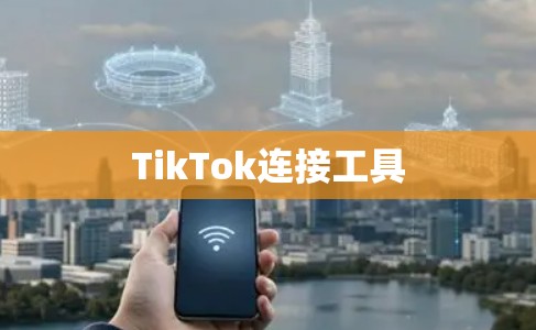 TikTok连接工具