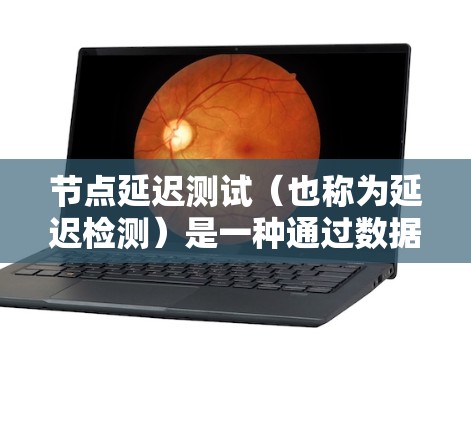 节点延迟测试（也称为延迟检测）是一种通过数据传输来检测网络连接延迟的方法，主要用于确保网络稳定性和数据传输效率。以下是关于节点延迟测试的详细步骤和解释
