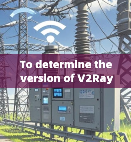 To determine the version of V2Ray安卓,follow these organized steps: