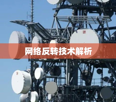 网络反转技术解析