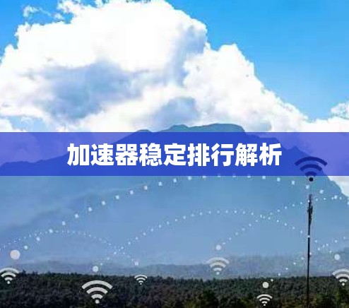 加速器稳定排行解析
