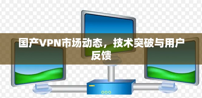 国产VPN市场动态，技术突破与用户反馈