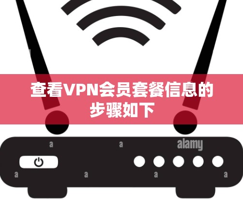 查看VPN会员套餐信息的步骤如下