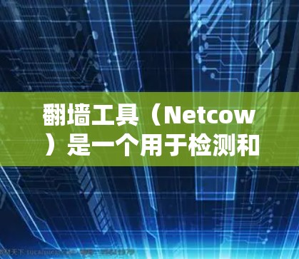翻墙工具（Netcow）是一个用于检测和过滤网络攻击工具，可以帮助用户安全地访问互联网。以下是一些常用的翻墙工具及其特点