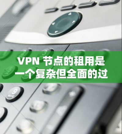 VPN 节点的租用是一个复杂但全面的过程，涉及多个关键步骤，因此建议按照以下步骤进行