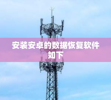 安装安卓的数据恢复软件如下