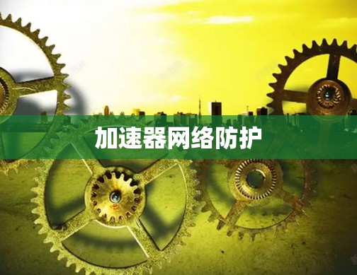 加速器网络防护