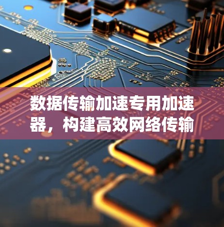 数据传输加速专用加速器，构建高效网络传输的 silver linings