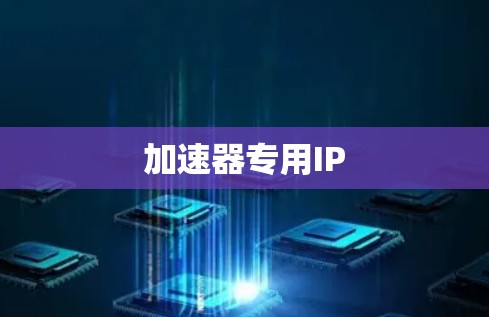 加速器专用IP