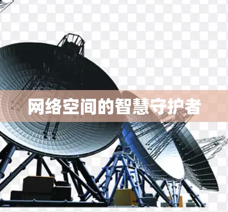网络空间的智慧守护者