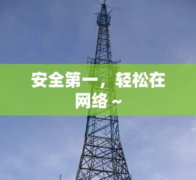 安全第一，轻松在网络～