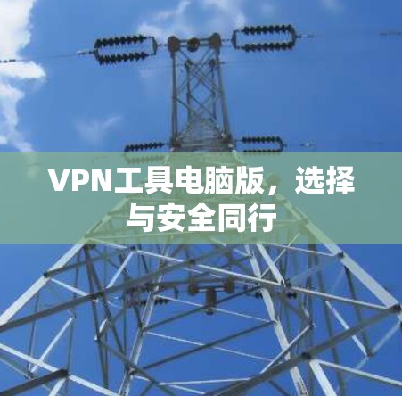 VPN工具电脑版，选择与安全同行