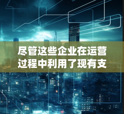 尽管这些企业在运营过程中利用了现有支付系统，但可能存在以下挑战
