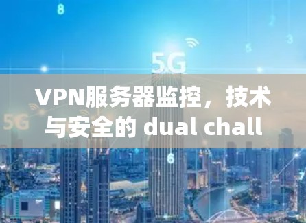 VPN服务器监控，技术与安全的 dual challenge