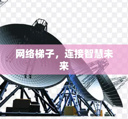 网络梯子，连接智慧未来