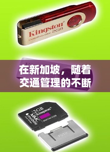 在新加坡，随着交通管理的不断改革和对交通流量的严格监控，新加坡逐渐引入了测速系统来监控车辆在特定路段的行驶速度。这些测速系统主要用于确保交通流量符合新加坡的交通法规和标准，同时减少拥堵和事故的发生