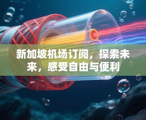 新加坡机场订阅，探索未来，感受自由与便利
