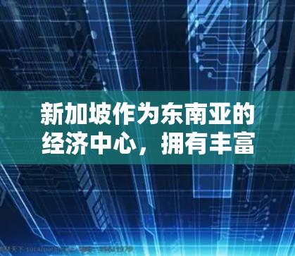 新加坡作为东南亚的经济中心，拥有丰富的VPN服务，但使用时需谨慎。以下是一些关键点