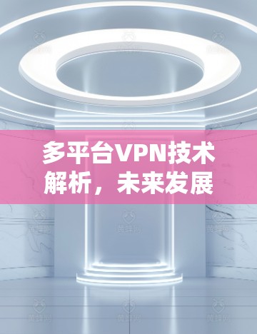 多平台VPN技术解析，未来发展趋势与解决方案