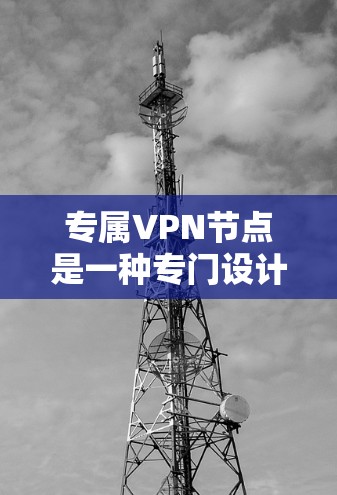专属VPN节点是一种专门设计用于特定用途的VPN服务器或平台，旨在为用户或机构提供高度安全、专为特定需求设计的网络环境。以下是关于专属VPN节点的详细说明