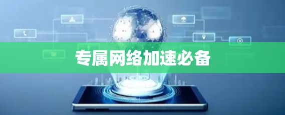 专属网络加速必备