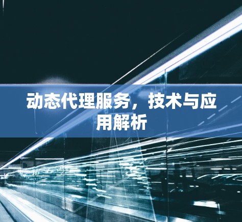 动态代理服务，技术与应用解析