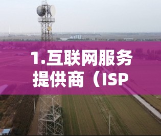 1.互联网服务提供商（ISP）